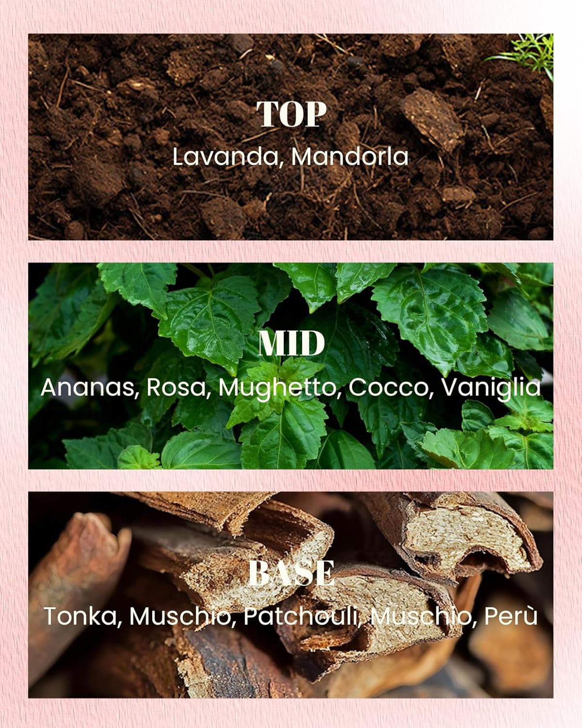 M&SENSE Rose Amber Scented Candles-Vegan Soy Wax, Floral Naturally Scented, No Toxin 10oz 42-Hour Long Burning Time, Relaxing Aromatherapy Candle for Bathtub, Rooms, Date Night, Fancy Gift Ideas